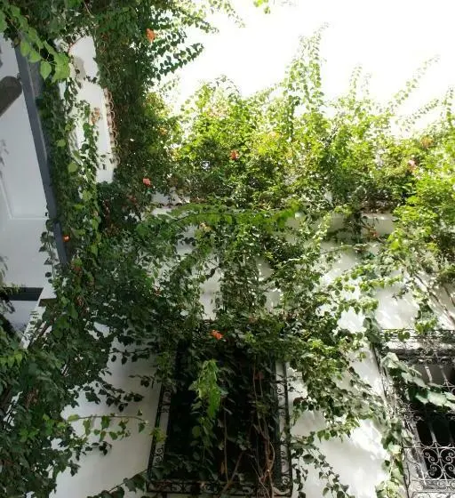 Superior Suite, Riad Nafora