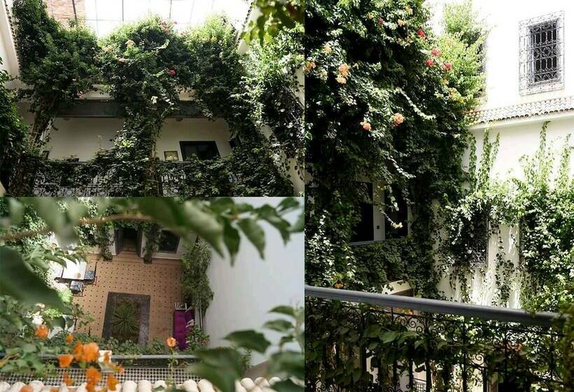 Superior Suite, Riad Nafora