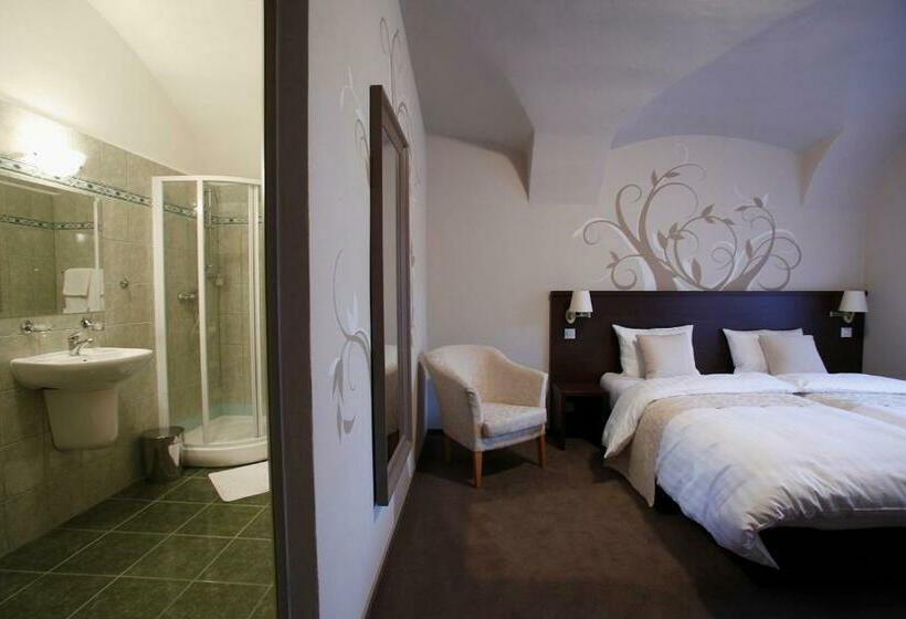 غرفة قياسية, Penzion štybar