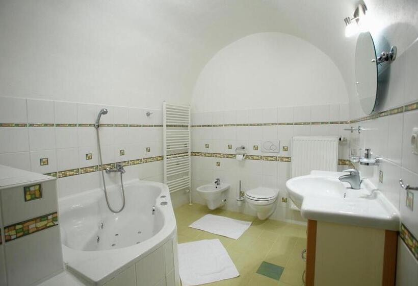 غرفة قياسية, Penzion štybar