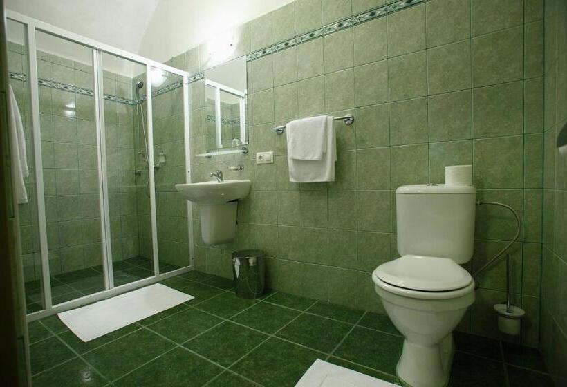 غرفة قياسية, Penzion štybar