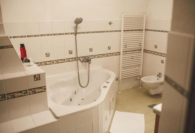 غرفة قياسية, Penzion štybar