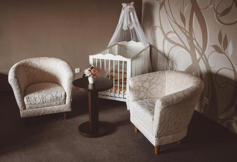 غرفة قياسية, Penzion štybar