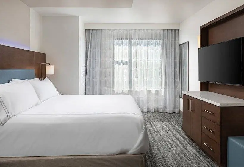 身障者適用スイートルーム, Even Hotel Alpharetta   Avalon Area, An Ihg