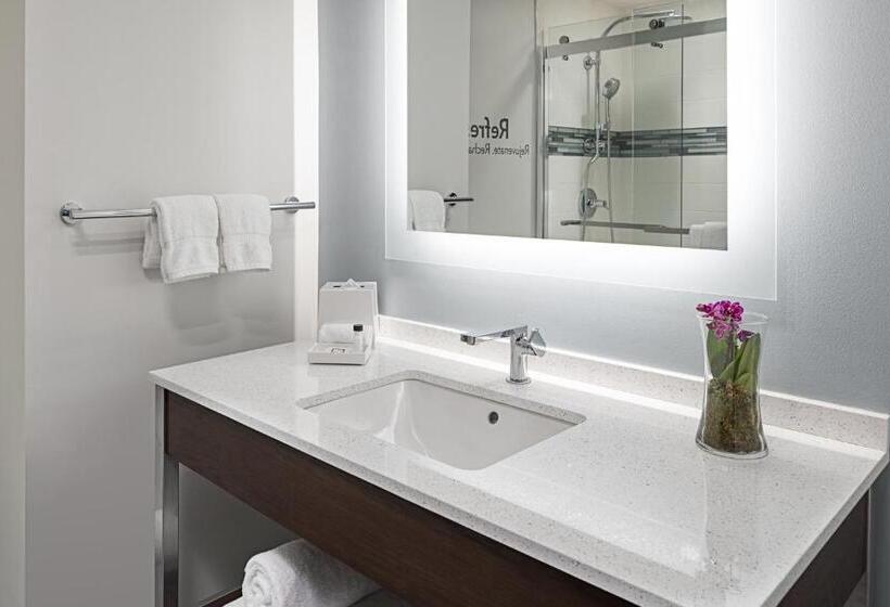 带大床的标准间, Even Hotel Alpharetta   Avalon Area, An Ihg