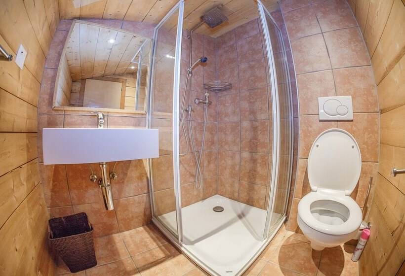 חדר סטנדרט, Guest House Du Grand Paradis On Piste