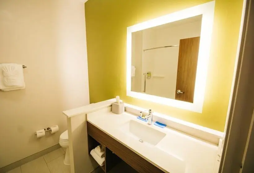 スタンダードルーム, Holiday Inn Express & Suites Birmingham   Homewood By Ihg