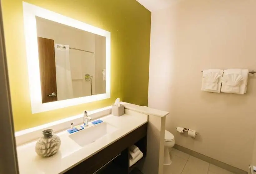 スタンダードルーム, Holiday Inn Express & Suites Birmingham   Homewood By Ihg
