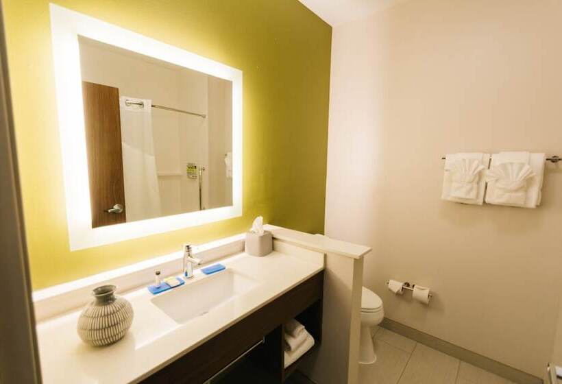 套房, Holiday Inn Express & Suites Birmingham   Homewood By Ihg