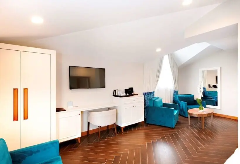 プレステージルーム, Mercure Istanbul Sirkeci