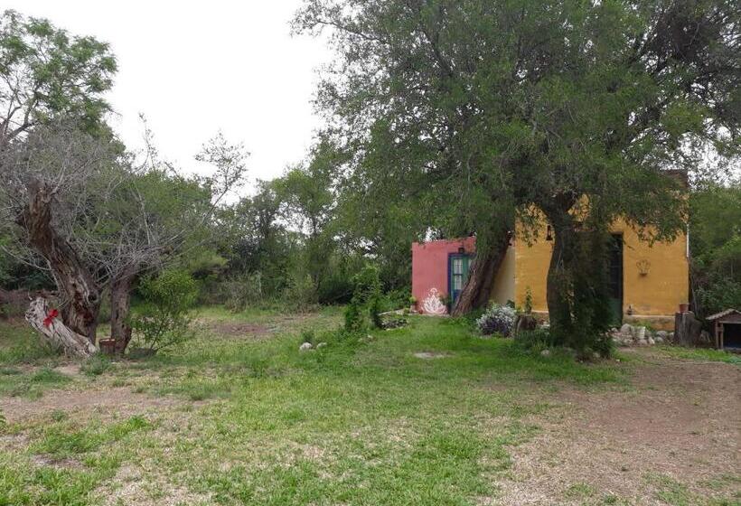מיטה בחדר משותף, Posada Arco Iris