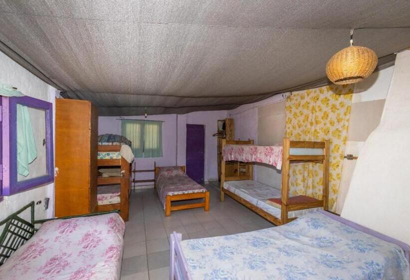 共用房间的床, Posada Arco Iris