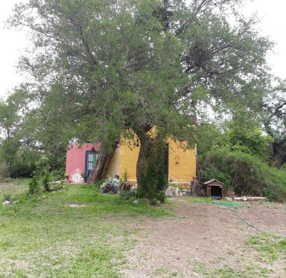 מיטה בחדר משותף, Posada Arco Iris