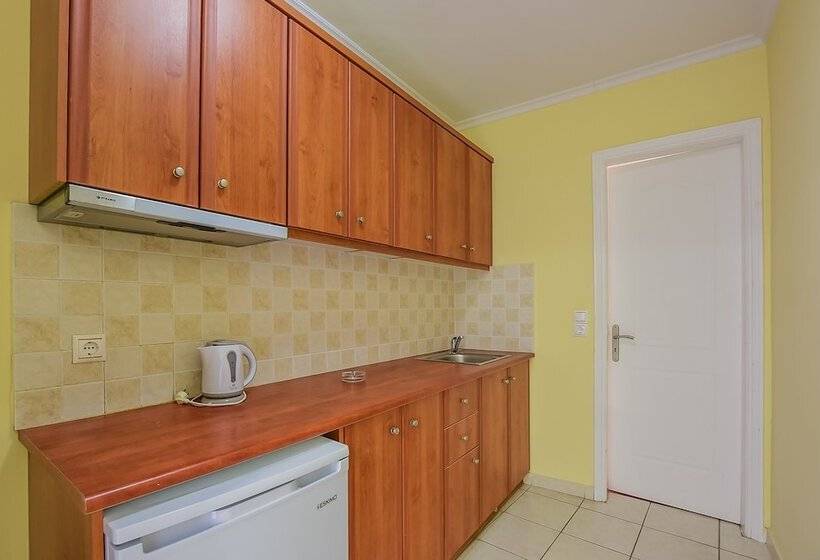 标准工作室带泳池景, Timos