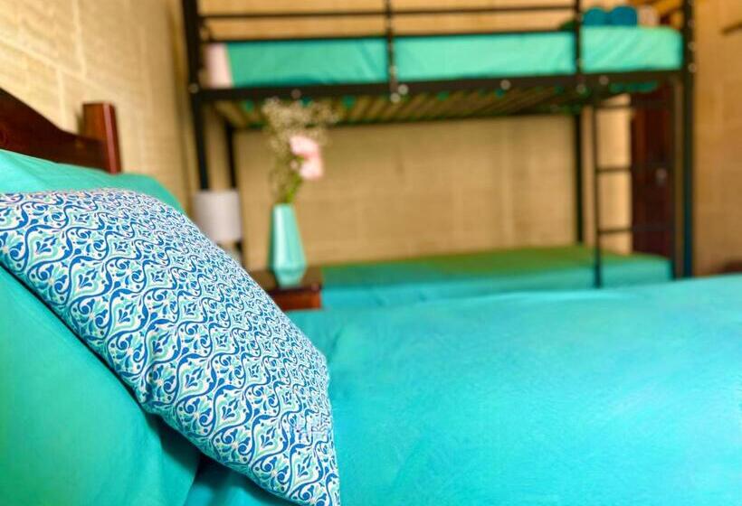 اتاق خانوادگی, Grotto's Paradise B&b