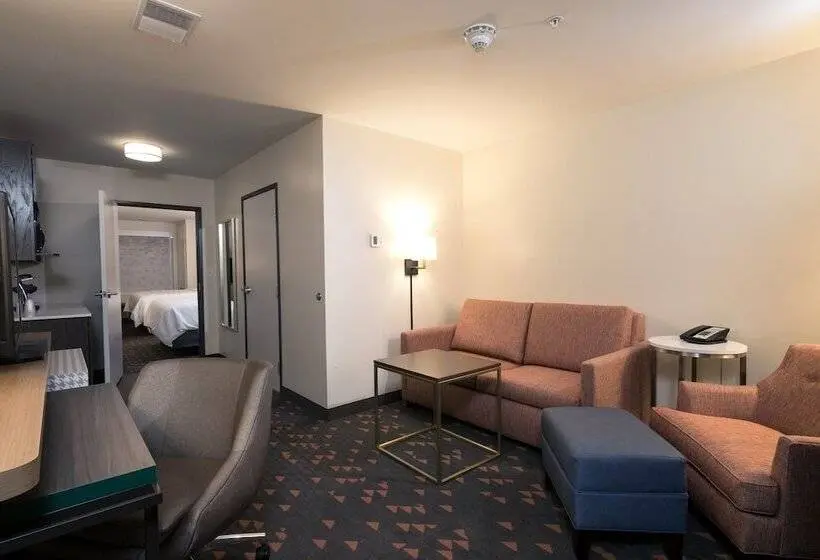 スイート, Holiday Inn   Kalamazoo West, An Ihg