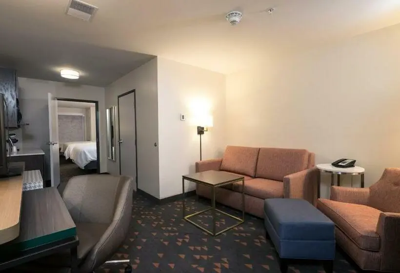 スイート, Holiday Inn   Kalamazoo West, An Ihg