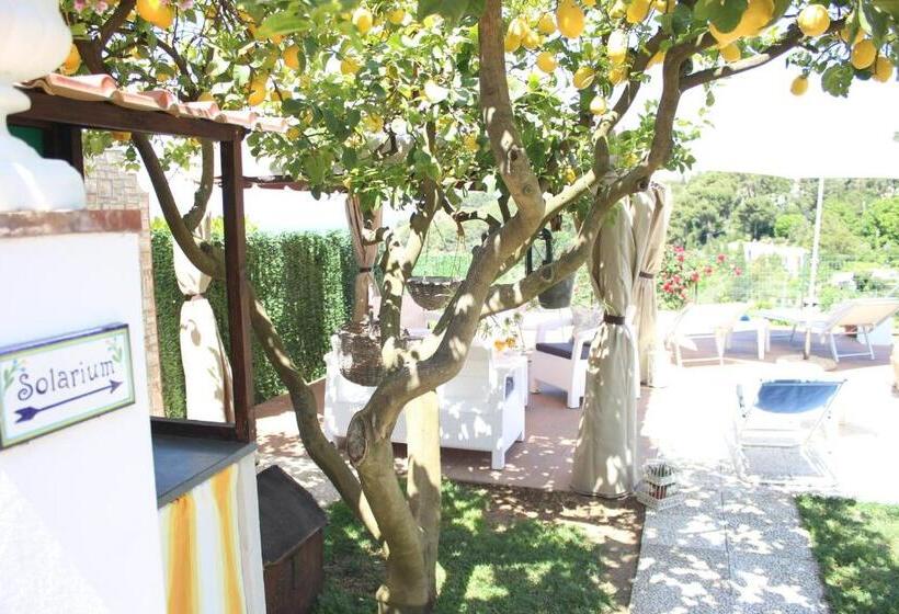 חדר סטנדרט עם מיטת קינג, B&b Villa Cristina