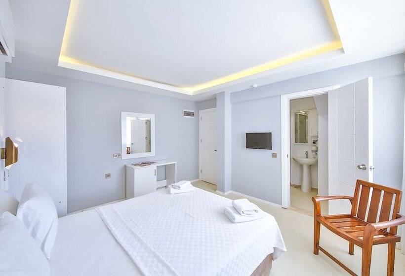 Quarto Estandar, No37