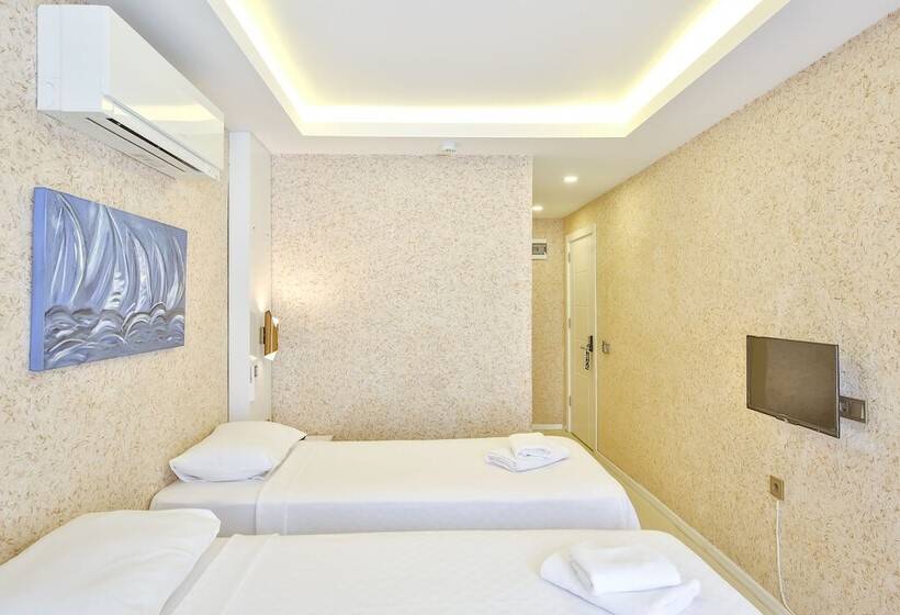 Quarto Estandar, No37