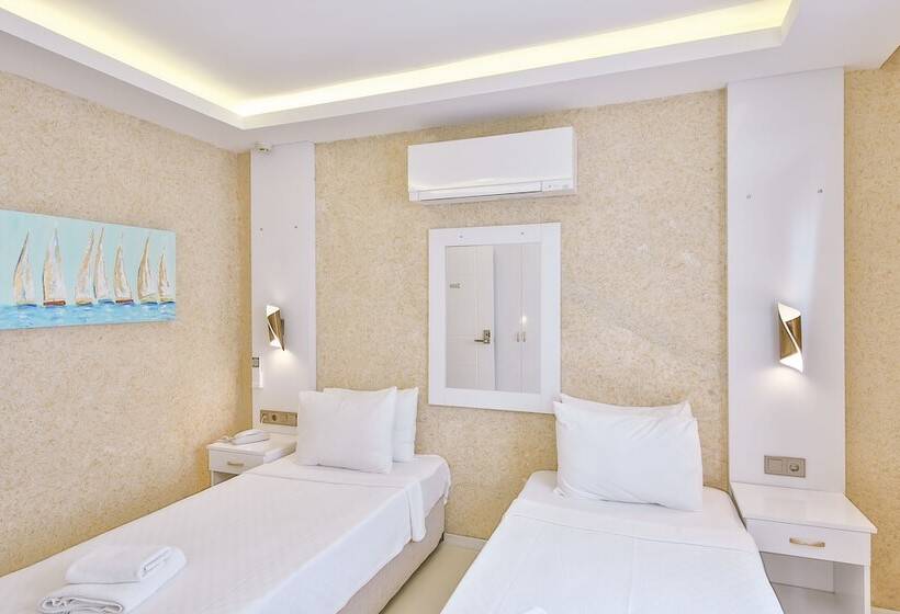 Cameră Economică, No37