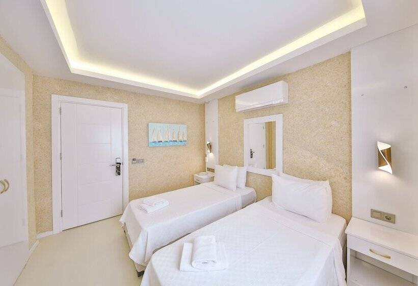 Cameră Economică, No37