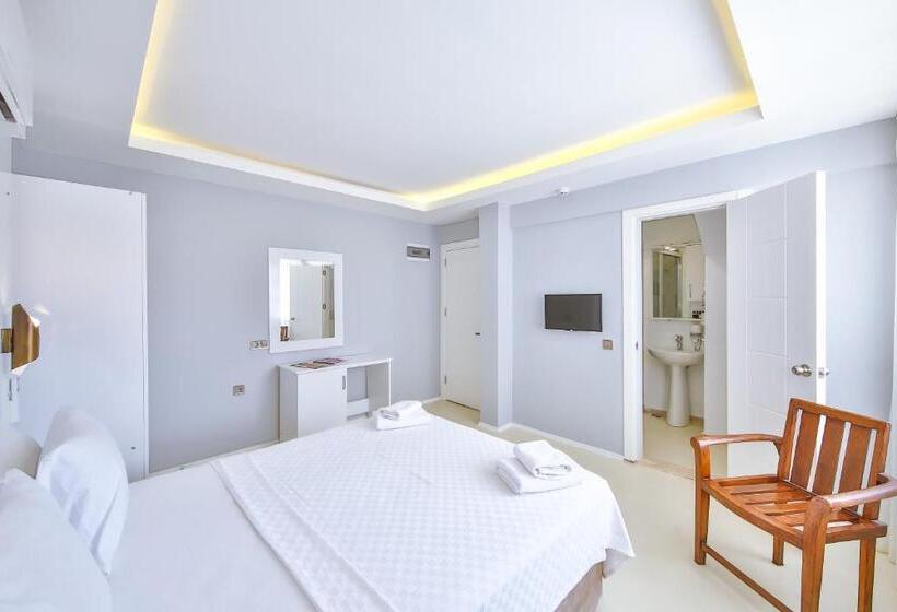 Quarto Estandar, No37