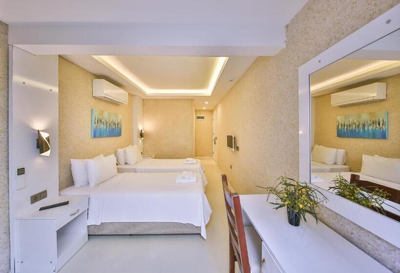 Cameră Standard cu Balcon, No37