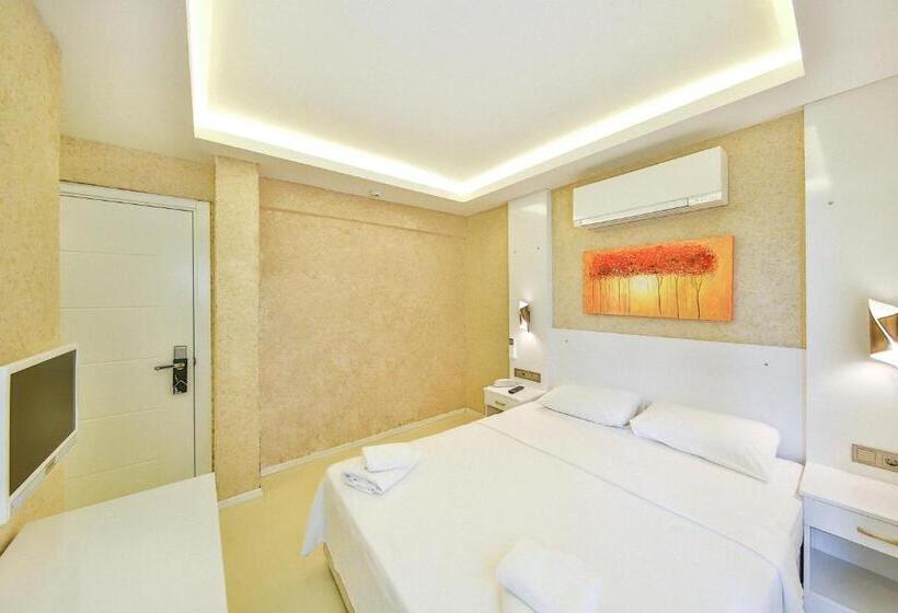 Cameră Economică, No37