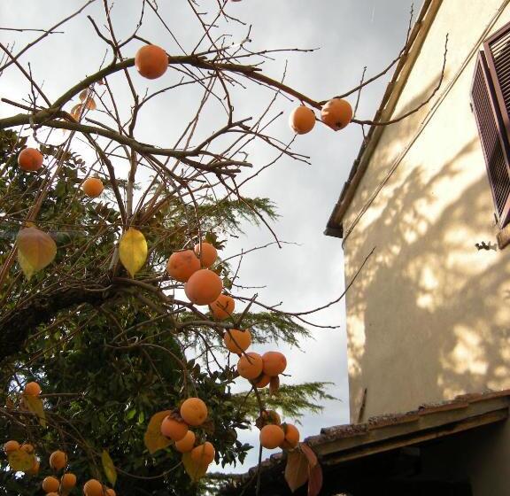 דירת שני חדרים, Agriturismo Il Colle
