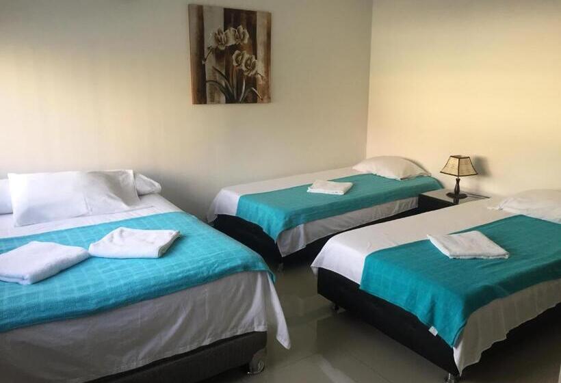 베이직 3인 룸, Prado 53