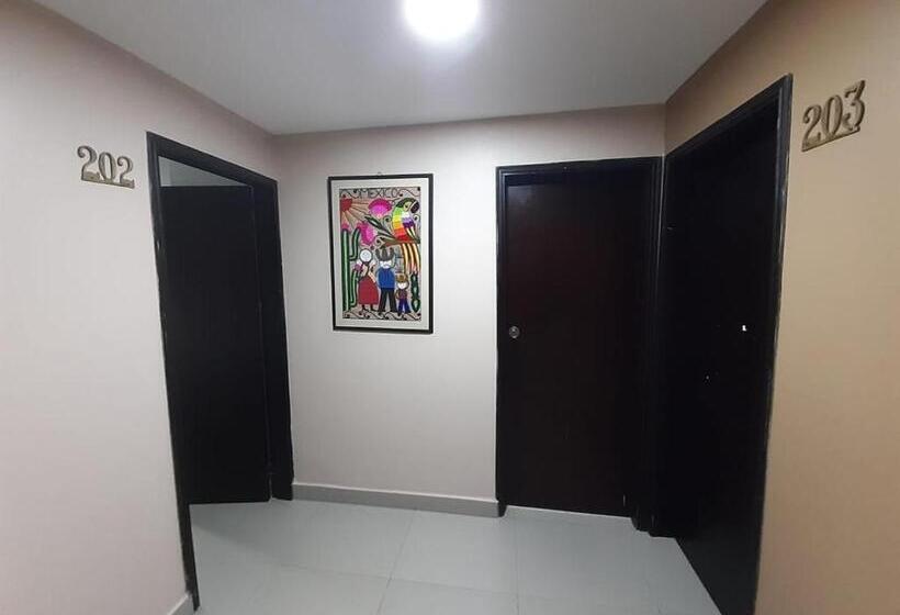 베이직 3인 룸, Prado 53