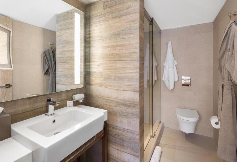 带大床的高级房间, Lennox Miami Beach