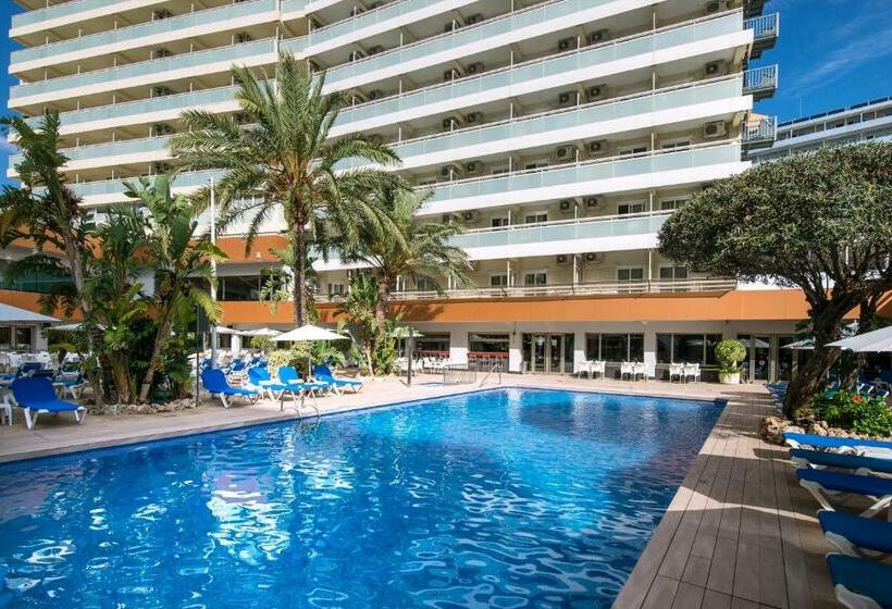 Семейный Номер, Climia Benidorm Plaza