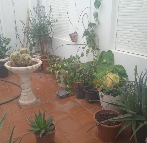 经济房, Las Salinas