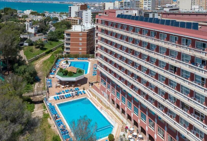 스탠다드 룸 바다 전망, Seramar Hotel Luna Park Adults Only
