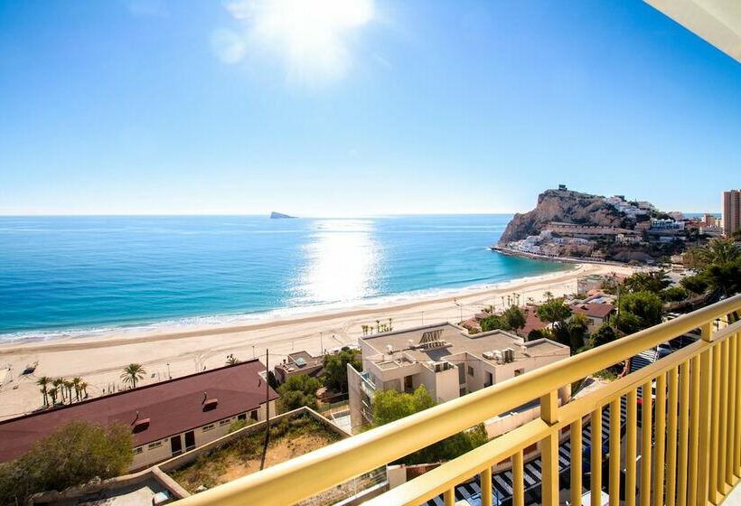 家庭海景房, Servigroup Torre Dorada