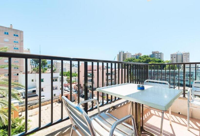 수피리어 스위트, Lis Mallorca