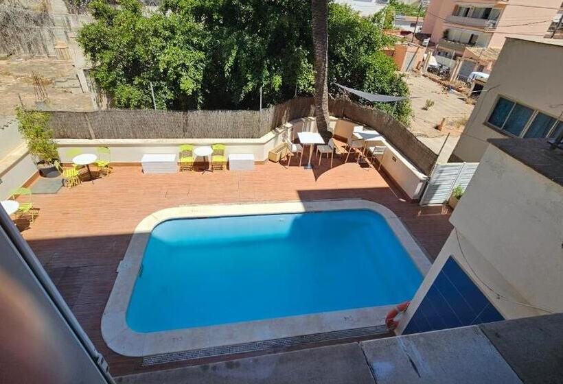 Студия Стандарт, Lis Mallorca