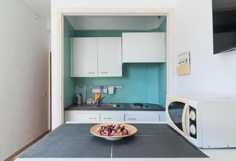 스탠다드 스튜디오, Lis Mallorca