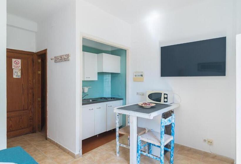 Студия Стандарт, Lis Mallorca