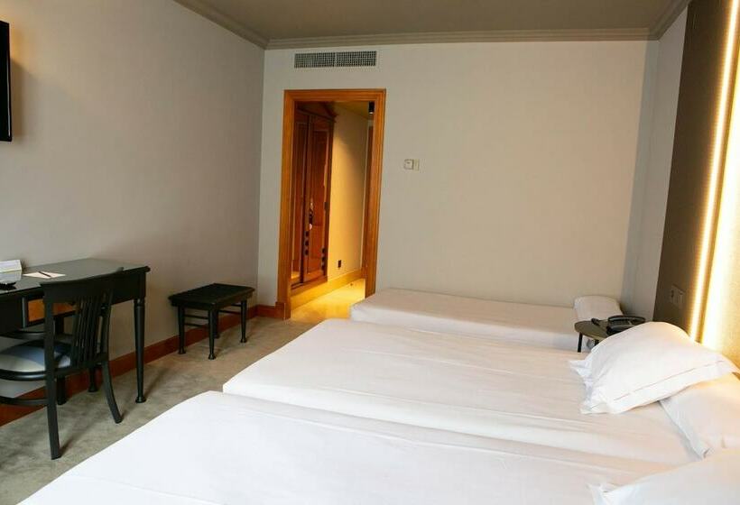 スタンダードルーム, Sercotel Ciudad De Oviedo