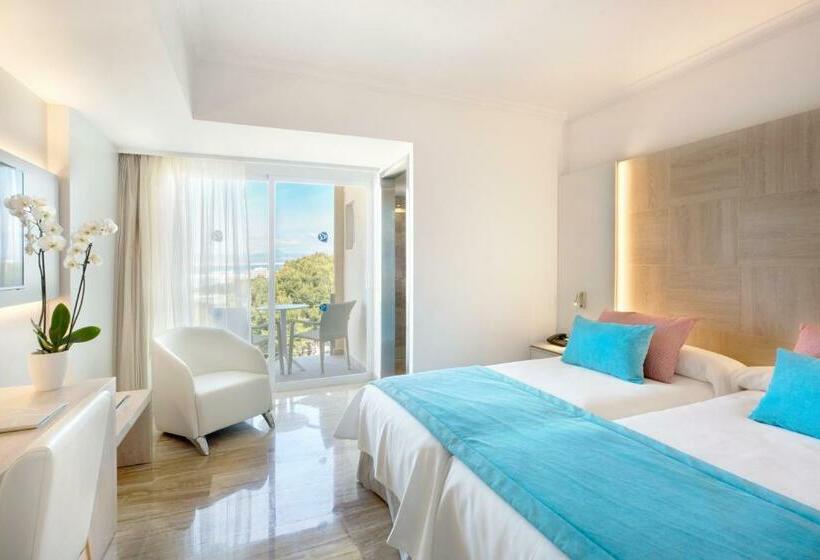 스탠다드 룸, Grupotel Orient