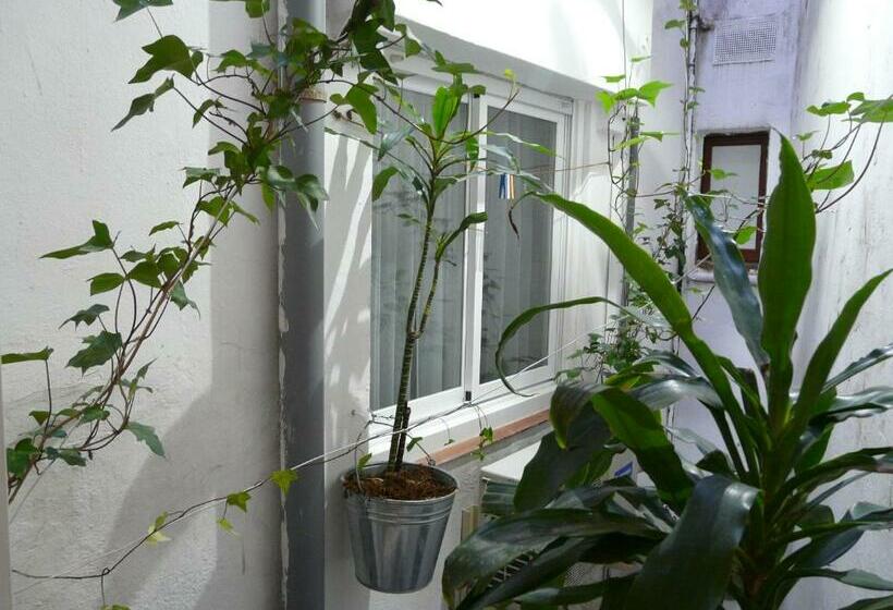 Quarto Economy, Alexandra Sitges