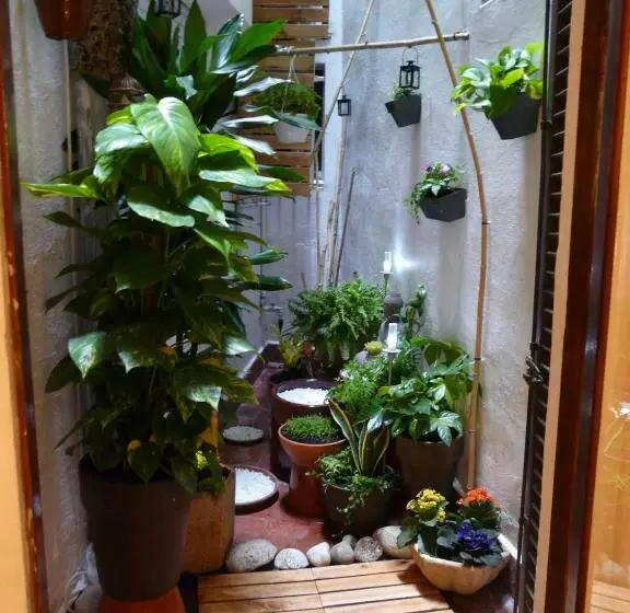 Quarto Economy, Alexandra Sitges