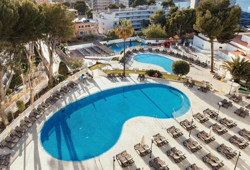 プールビュースタンダードルーム, Ilunion Palmanova Mallorca
