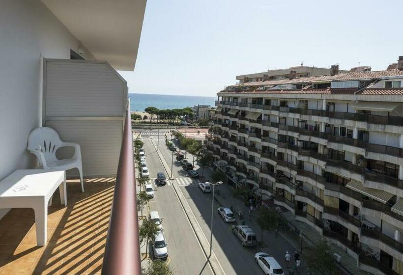 스탠다드 룸, Papi