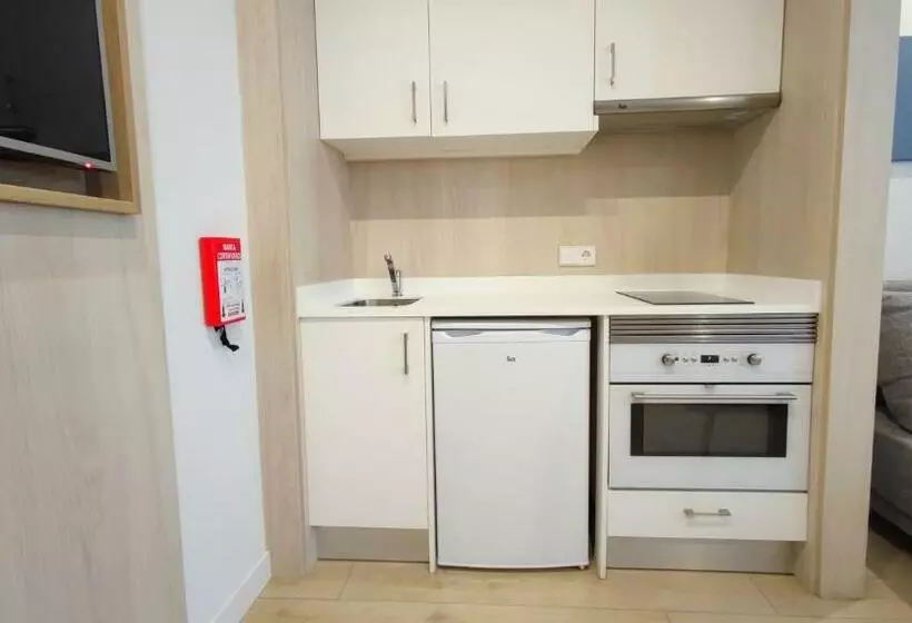 آپارتمان 1 خوابه, Leman Hotel y Apartamentos