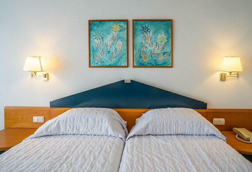 اتاق استاندارد, Leman Hotel y Apartamentos