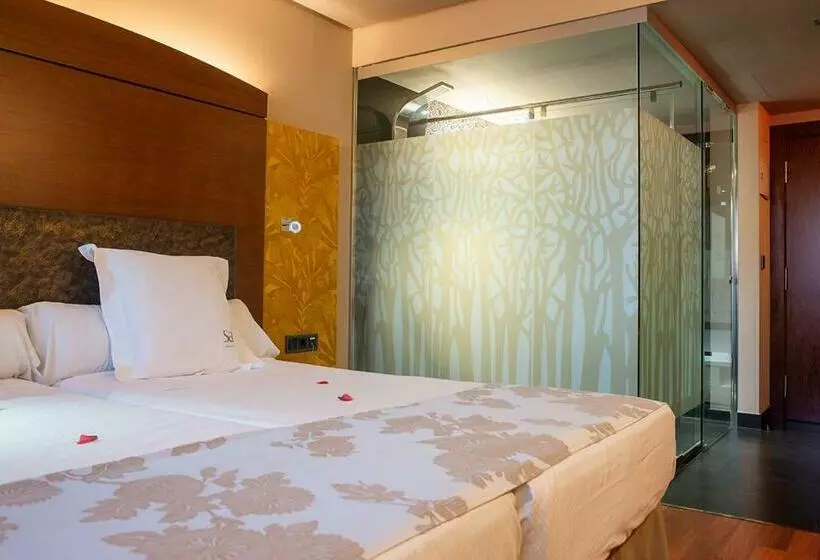 Habitació Estàndard, Sancho Abarca Petit Spa